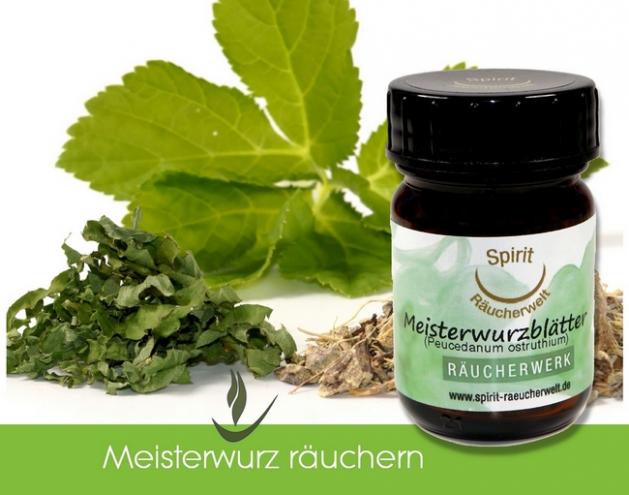 Meisterwurzblätter zum Räuchern