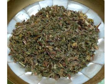 Cistrosenkraut