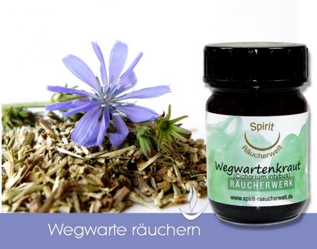 Wegwarte zum Räuchern