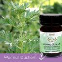 Wermut bio - heimisches Räucherwerk