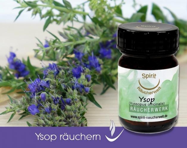 Ysop - heimisches Räucherwerk