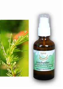 Wacholder | Energie und Aura Spray - 50ml