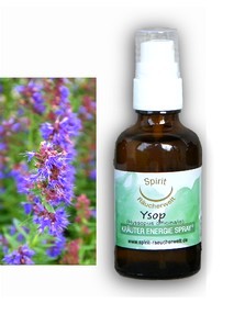 Ysop | Energie und Aura Spray - 50ml